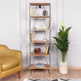 Biblioteca Balaban Pine