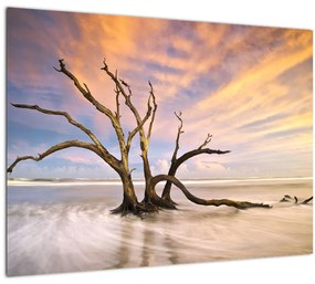 Tablou pe sticlă - Copacul în ocean (70x50 cm)