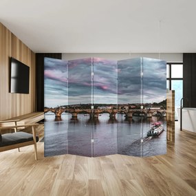 Paravan - Vltava (210x170 cm)