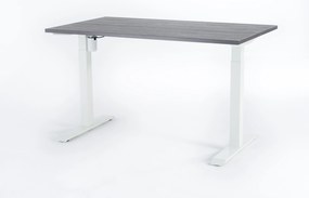 Viva New Generation 2.0, Birou reglabil electric, un singur motor - Premium - 1400x800x25 - Logan - Alb