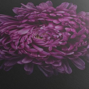 Tablou cu floare violetă (120x50 cm)
