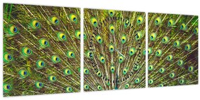Tablou - Peacock (cu ceas) (90x30 cm)