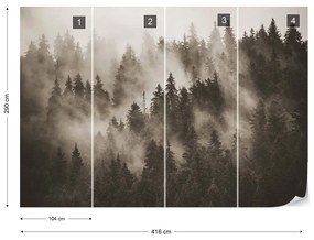 Fototapet - Pădure de Brazi în Ceață – Sepia