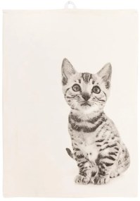 Prosop de bucătărie din bumbac 70x50 cm Farm - Tiseco Home Studio