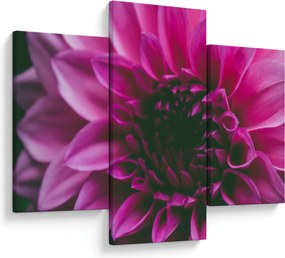 Tablou cu floarea roz (90x60 cm)