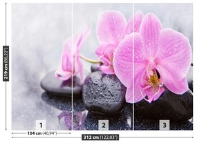 Fototapet Orchid Stones