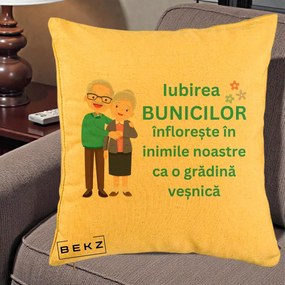 Cadou pentru Bunici - Perna Personalizata Bunicii Iubirea Infloreste Cuplu Senior Teal, 40x40 cm, Galben, Husa Detasabila, Perna Inclusa, BEKZ®