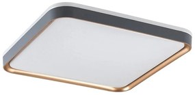 Rabalux 71029 - Plafonieră LED LIATRIS, 26W, 230V, 3000K