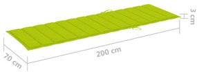 Sezlong cu perna, lemn masiv de acacia si otel galvanizat verde aprins, 200 x 60 cm, 1