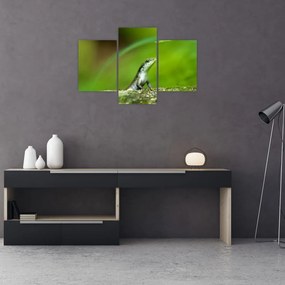 Tablou cu șopârlă (90x60 cm)