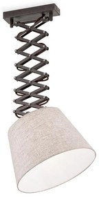 Lustra design vintage cu brat extensibil Factory