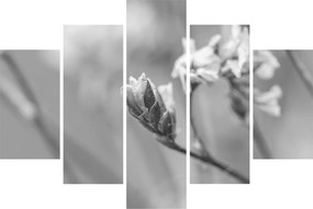 Tablou - Floare înflorită (150x105 cm)