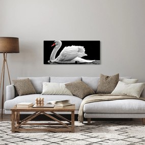 Tablou cu lebăda alb neagră (120x50 cm)