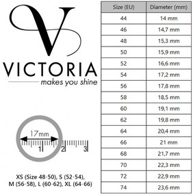 Victoria Inel argintiu cu model și piatră