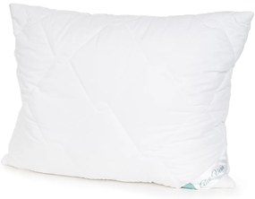 Set pilotă și pernă Aloe Premium, 140 x200 cm, 70 x 90 cm, 140 x 200 cm, 70 x 90 cm