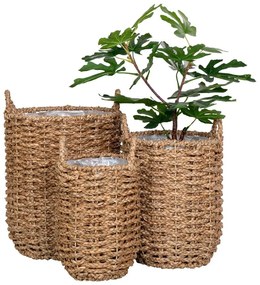 Ghivece decorative 3 buc. din iarbă-de-mare ø 31 cm Hue – House Nordic