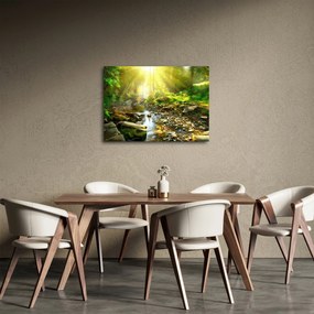 Tablou cu râul în pădurea verde (70x50 cm)