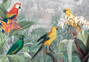 Fototapet - Papagali (254x184 cm)