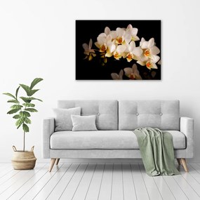 Tablou pe pânză canvas Orhidee