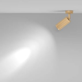 Maytoni C034CL-01G - Spot FOCUS 1xGU10/10W/230V, auriu