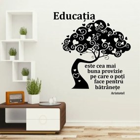 Sticker perete Educatia este cea mai buna provizie