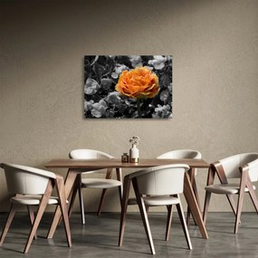 Tablou pe sticlă cu floare (70x50 cm)