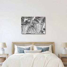 Tablou - Tei,alb-negru (70x50 cm)