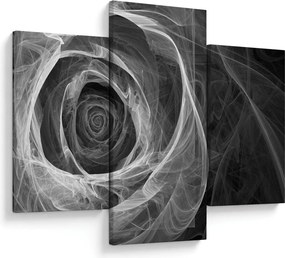 Tablou - Abstract trandafir negru și alb (90x60 cm)