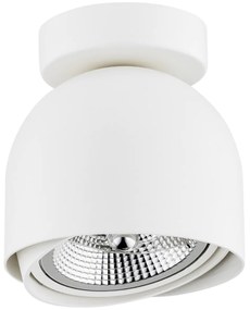 Plafoniera moderna tip Spot aplicat directionabil GARLAND alba