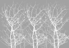 Fototapet - Conturul copacului (152,5x104 cm), în 8 de alte dimensiuni noi