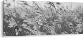 Tablou - Iarba în vânt (120x50 cm)