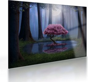 Tablou pe sticlă - Noapte magică (70x50 cm)