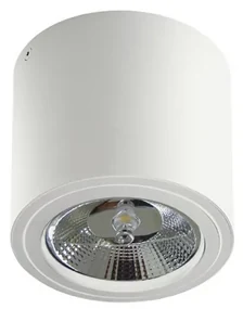 Spot aplicat directionabil de tavan/plafon ALIX alb ZZ AZ3541