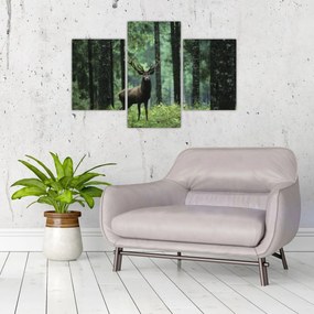 Tablou - Cerb în pădurea adâncă (90x60 cm)