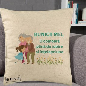 Cadou pentru Bunici - Perna Personalizata Bunicii Mei Comoara Iubire Intelepciune Nepoata, 40x40 cm, Bej, Husa Detasabila, Perna Inclusa, BEKZ®