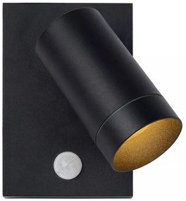 Lucide 09831/01/30 - Corp de iluminat exterior cu senzor TAYLOR 1xGU10/50W/230V IP54