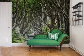 Fototapet, Magical Alley, Rebel Walls