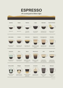 Ilustrație Espresso Guide, Dion Gem