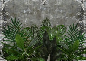 Tablou pe sticlă - Zid de beton cu plante (70x50 cm)