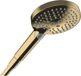 Para de dus Hansgrohe Raindance Select S 120 auriu lucios PowderRain 3 functii