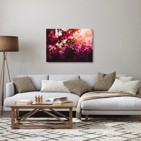 Tablou pe sticlă cu florile tufișului înflorit (70x50 cm)