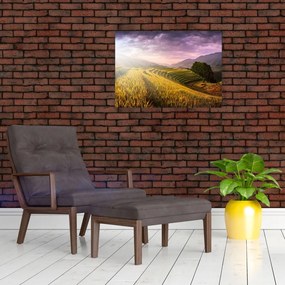 Tablou peisajului (70x50 cm)