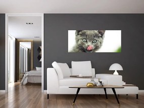 Tablou cu pisicuța lingându-se (120x50 cm)