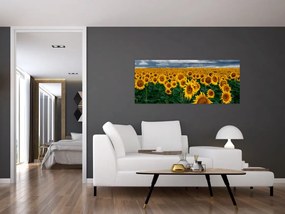 Tablou câmpului de floarea soarelui (120x50 cm)