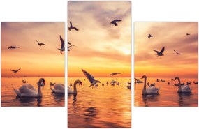 Tablou - Lebedă (90x60 cm)