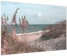 Tablou - Plaja roz (90x60 cm)