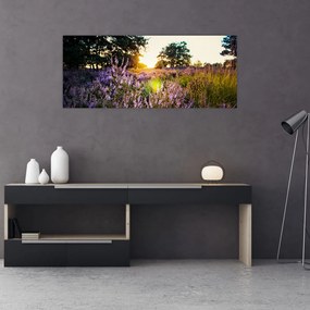 Tablou - Câmp cu lavandă (120x50 cm)