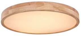 Plafoniera LED dimabila cu telecomanda design modern RAINER 41745-48 GL