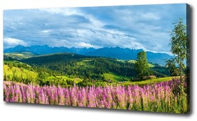 Tablou canvas Lavanda în munți