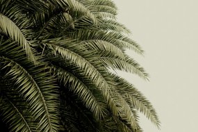 Fototapet, Leaf Love, Rebel Walls